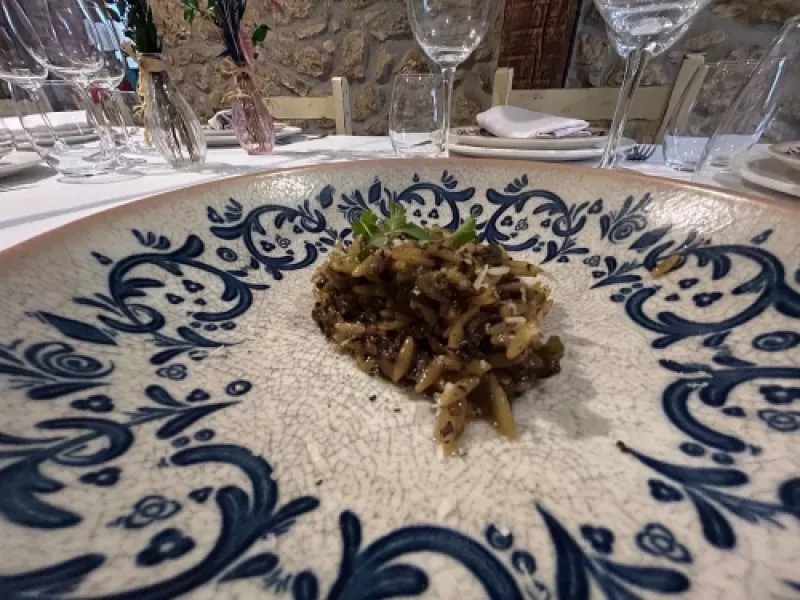 Platos y elaboraciones