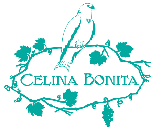 Bienvenido a Celina Bonita